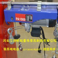 厂家直销PA系列微型- 家用电压220V-