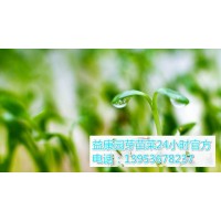 芽菜种植方法和技术设备-益康园芽苗菜