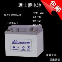 理士电池DJM1238 不间断电源 理士12V38AH EPS电源铅酸蓄电池