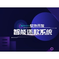 广州从化代还app开发定制,专业团队开发